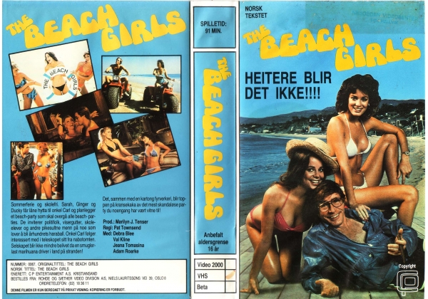 Beach Girls, The - video artwork