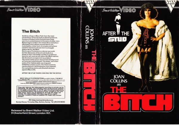 Bitch, The - video artwork
