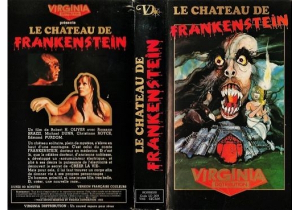 Castle of Frankenstein, The - video artwork