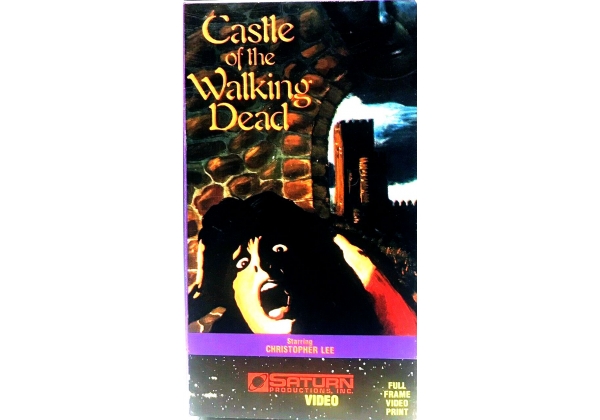 Castle of the Walking Dead, The - video artwork