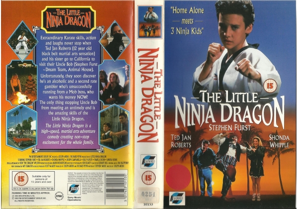 Little Ninja Dragon, The - video artwork