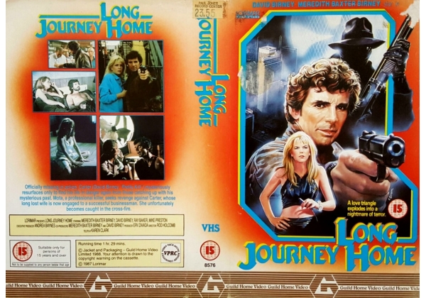 Long Journey Home, The - video artwork