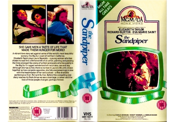 Sandpiper, The - video artwork